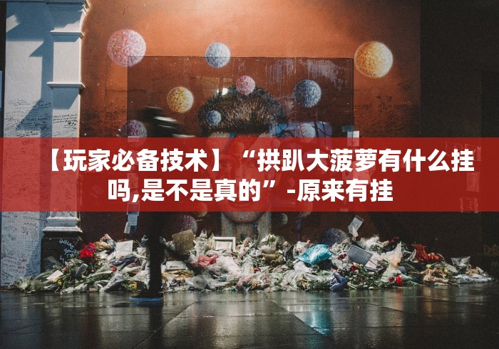 【玩家必备技术】“拱趴大菠萝有什么挂吗,是不是真的”-原来有挂