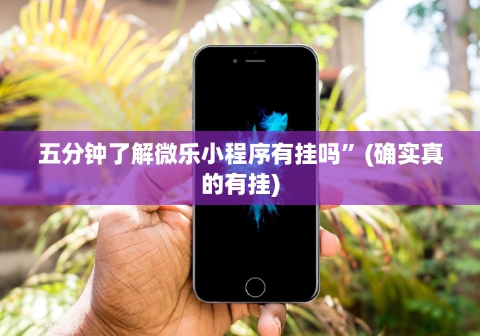 五分钟了解微乐小程序有挂吗”(确实真的有挂) 五分钟了解微乐小程序有挂吗”(确实真的有挂)