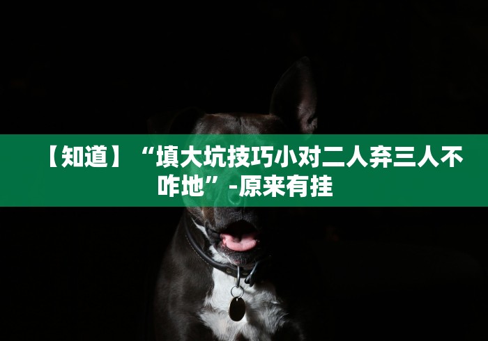 【知道】“填大坑技巧小对二人弃三人不咋地”-原来有挂