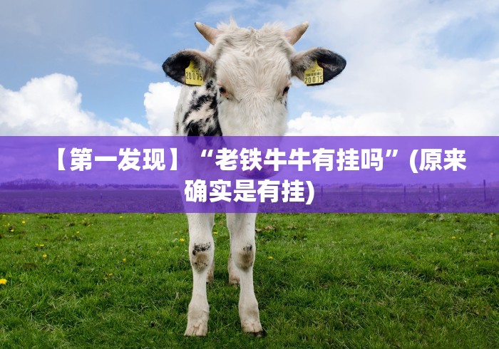 【第一发现】“老铁牛牛有挂吗”(原来确实是有挂)