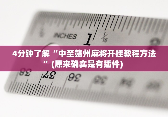 【终于出现】“中至抚州麻将可以装挂吗”分享用挂教程