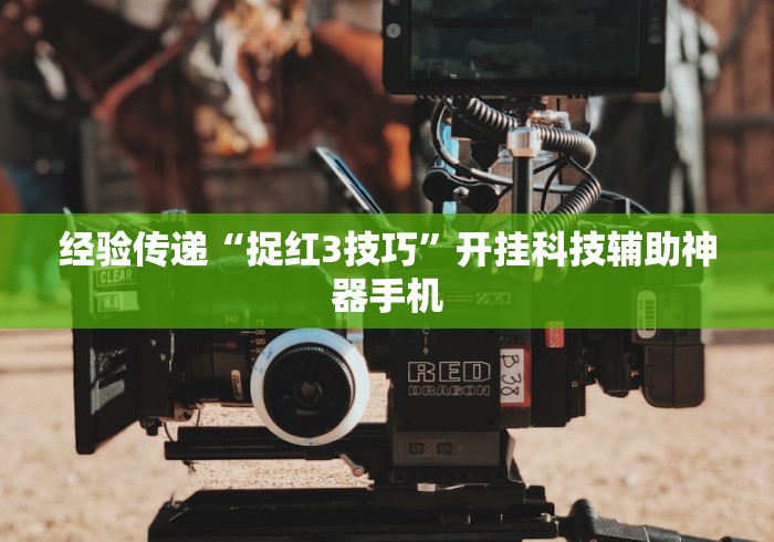 经验传递“捉红3技巧”开挂科技辅助神器手机