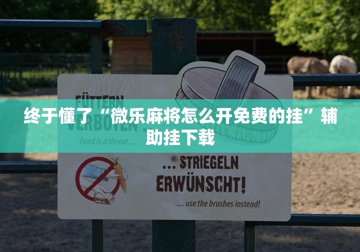 终于懂了“微乐麻将怎么开免费的挂”辅助挂下载 终于懂了“微乐麻将怎么开免费的挂”辅助挂下载