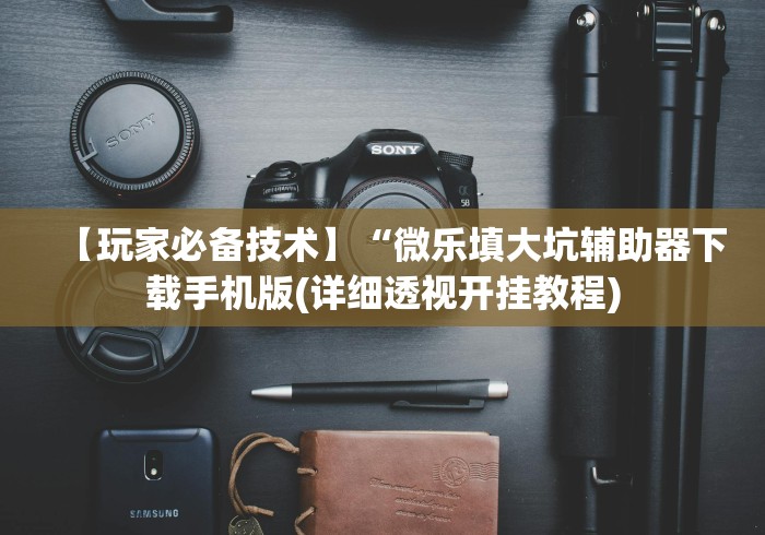 【玩家必备技术】“微乐填大坑辅助器下载手机版(详细透视开挂教程)