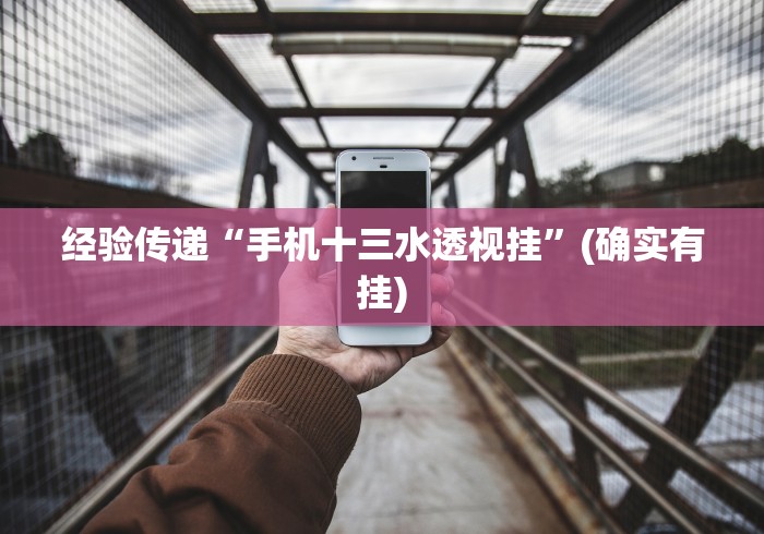 经验传递“手机十三水透视挂”(确实有挂) 经验传递“手机十三水透视挂”(确实有挂)