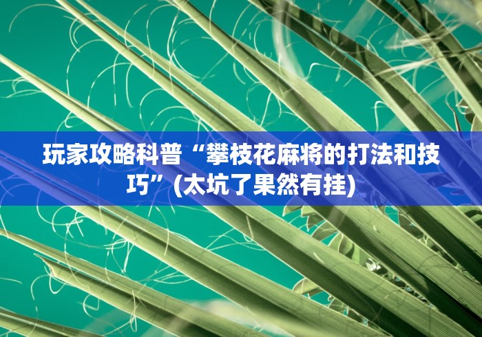 玩家攻略科普“攀枝花麻将的打法和技巧”(太坑了果然有挂)