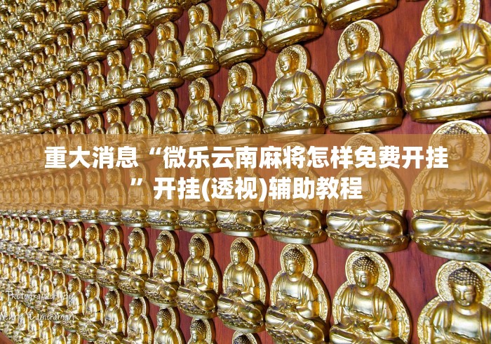 重大消息“微乐云南麻将怎样免费开挂”开挂(透视)辅助教程