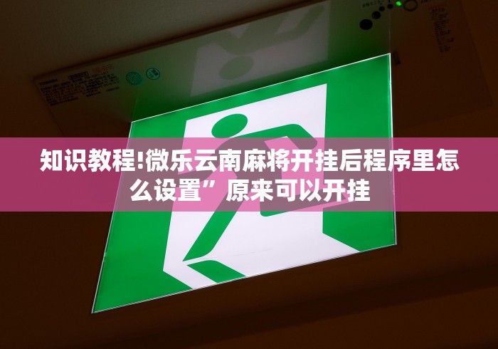 知识教程!微乐云南麻将开挂后程序里怎么设置”原来可以开挂 知识教程!微乐云南麻将开挂后程序里怎么设置”原来可以开挂