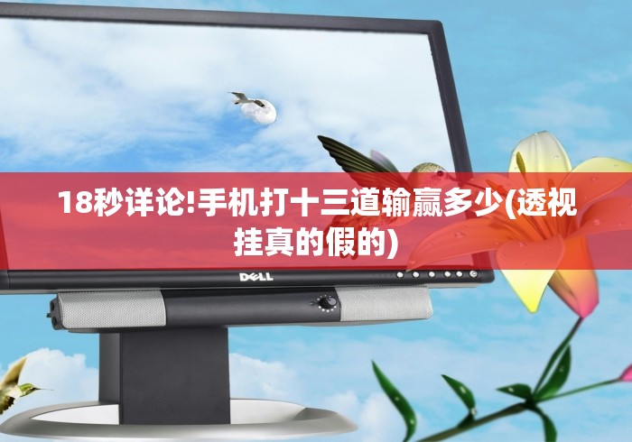 18秒详论!手机打十三道输赢多少(透视挂真的假的)