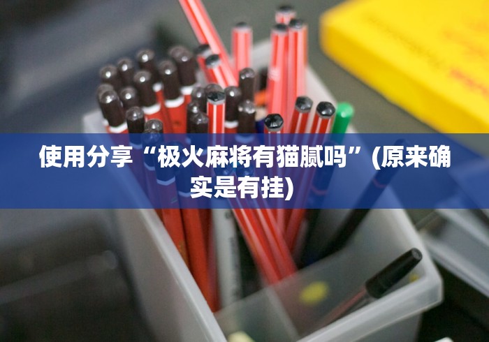 使用分享“极火麻将有猫腻吗”(原来确实是有挂) 