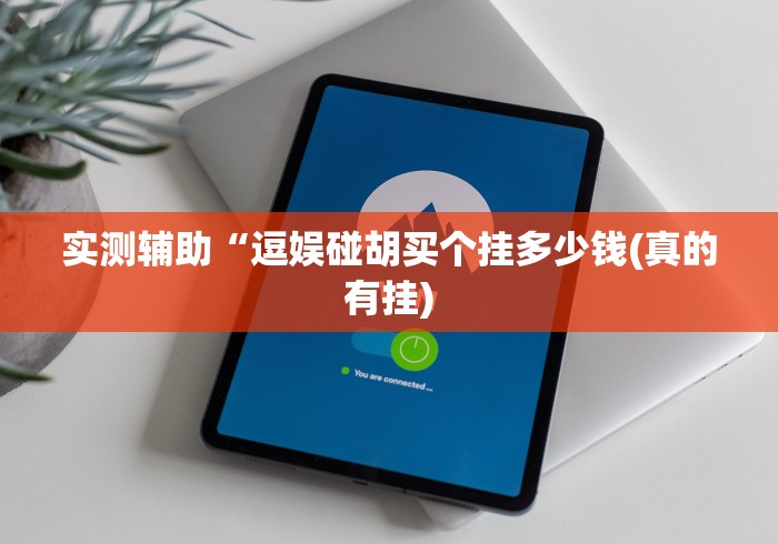 实测辅助“逗娱碰胡买个挂多少钱(真的有挂)