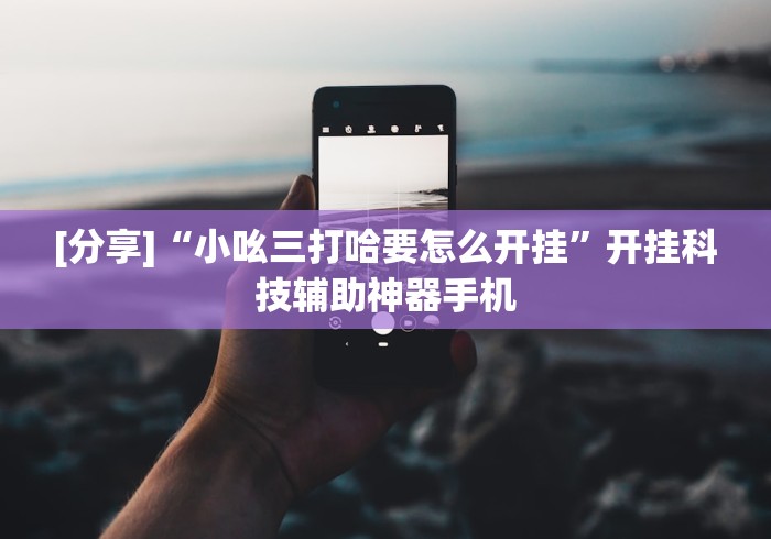 [分享]“小吆三打哈要怎么开挂”开挂科技辅助神器手机