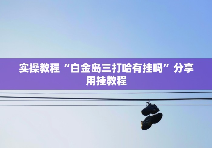 实操教程“白金岛三打哈有挂吗”分享用挂教程