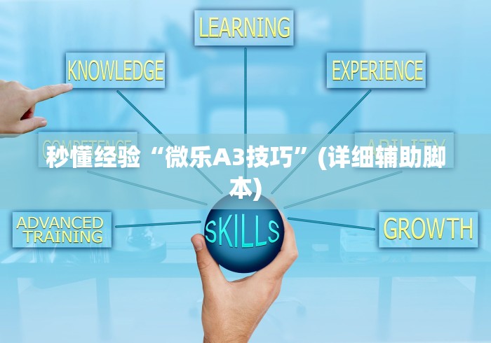 秒懂经验“微乐A3技巧”(详细辅助脚本)