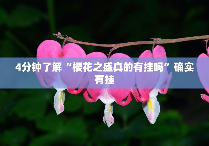 辅助挂机软件“海讯麻将开挂神器下载”确实果然有挂 