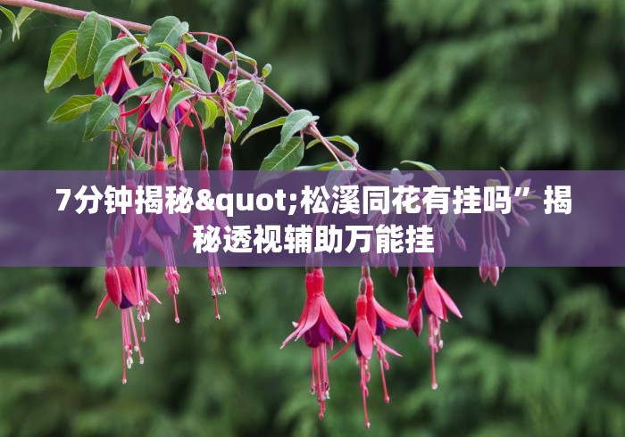 7分钟揭秘"松溪同花有挂吗”揭秘透视辅助万能挂