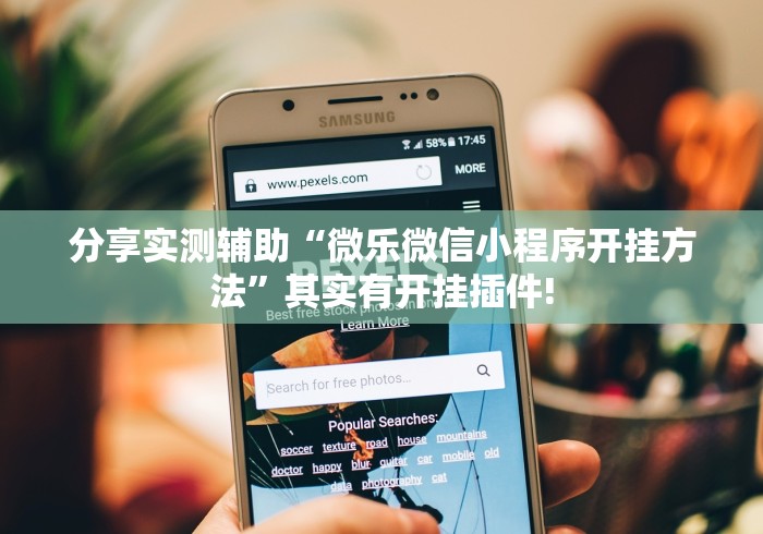 分享实测辅助“微乐微信小程序开挂方法”其实有开挂插件!