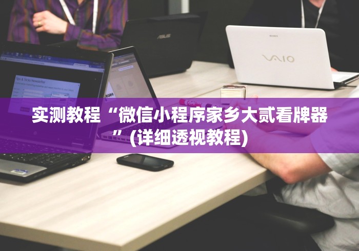 实测教程“微信小程序家乡大贰看牌器”(详细透视教程)