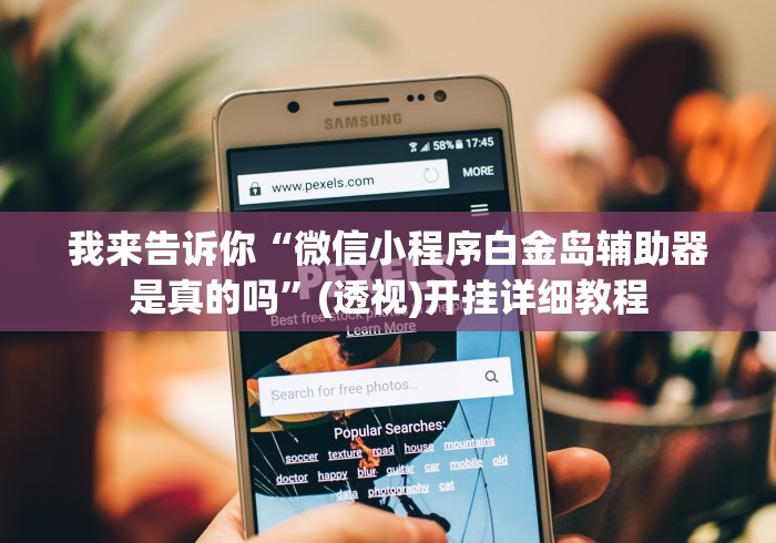 我来告诉你“微信小程序白金岛辅助器是真的吗”(透视)开挂详细教程