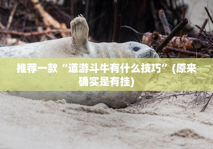 推荐一款“道游斗牛有什么技巧”(原来确实是有挂)