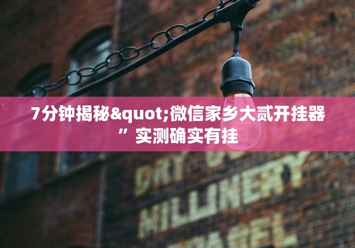 7分钟揭秘"微信家乡大贰开挂器”实测确实有挂