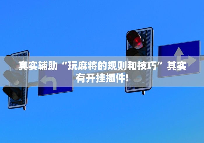 真实辅助“玩麻将的规则和技巧”其实有开挂插件!