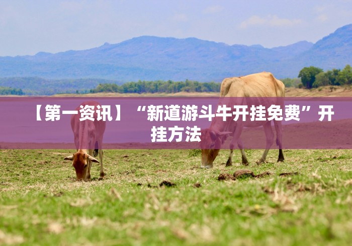 【第一资讯】“新道游斗牛开挂免费”开挂方法