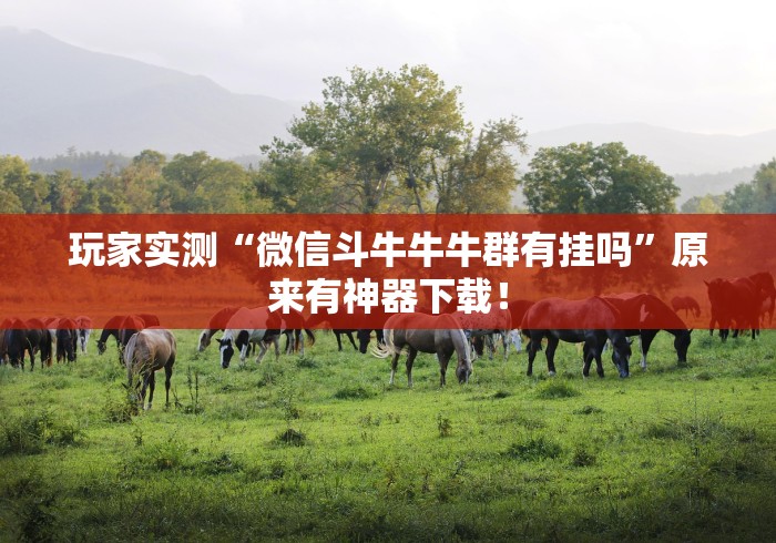 玩家实测“微信斗牛牛牛群有挂吗”原来有神器下载！