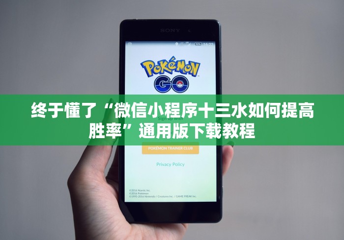 终于懂了“微信小程序十三水如何提高胜率”通用版下载教程