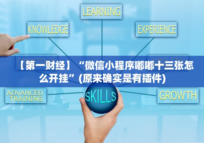【第一财经】“微信小程序嘟嘟十三张怎么开挂”(原来确实是有插件)