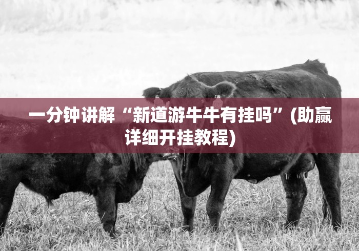 一分钟讲解“新道游牛牛有挂吗”(助赢详细开挂教程)