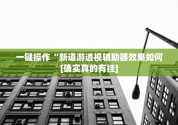 一键操作“新道游透视辅助器效果如何[确实真的有挂]