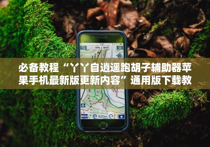 必备教程“丫丫自逍遥跑胡子辅助器苹果手机最新版更新内容”通用版下载教程！