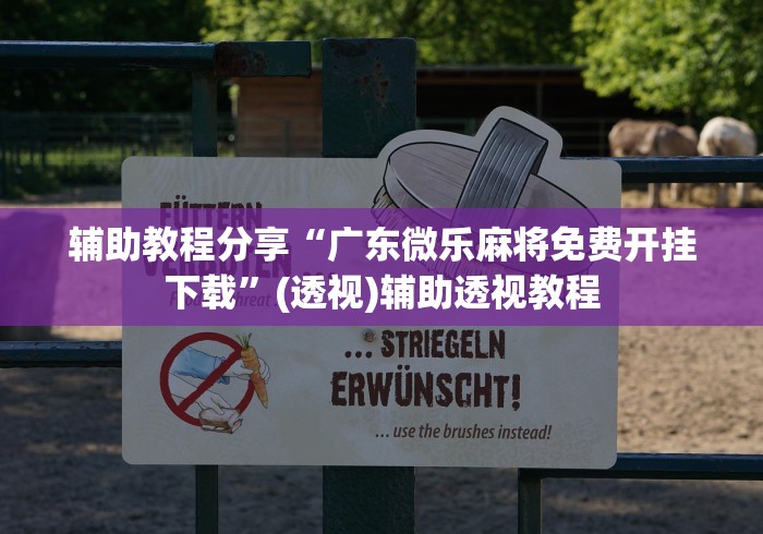 辅助教程分享“广东微乐麻将免费开挂下载”(透视)辅助透视教程