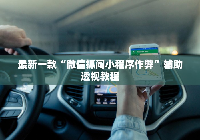 最新一款“微信抓阄小程序作弊”辅助透视教程