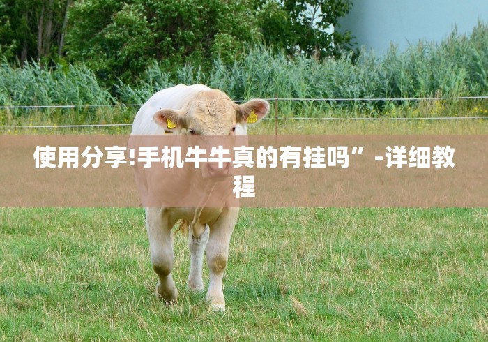 使用分享!手机牛牛真的有挂吗”-详细教程