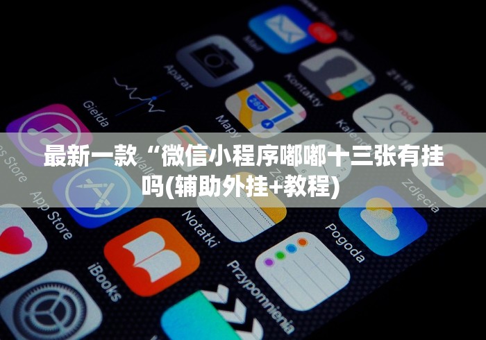 最新一款“微信小程序嘟嘟十三张有挂吗(辅助外挂+教程) 最新一款“微信小程序嘟嘟十三张有挂吗(辅助外挂+教程)