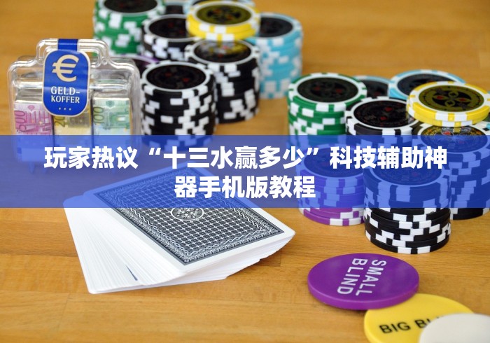 玩家热议“十三水赢多少”科技辅助神器手机版教程