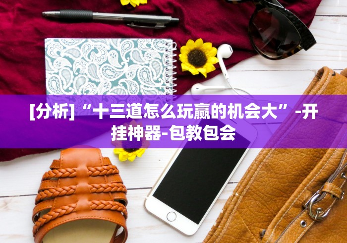 [分析]“十三道怎么玩赢的机会大”-开挂神器-包教包会