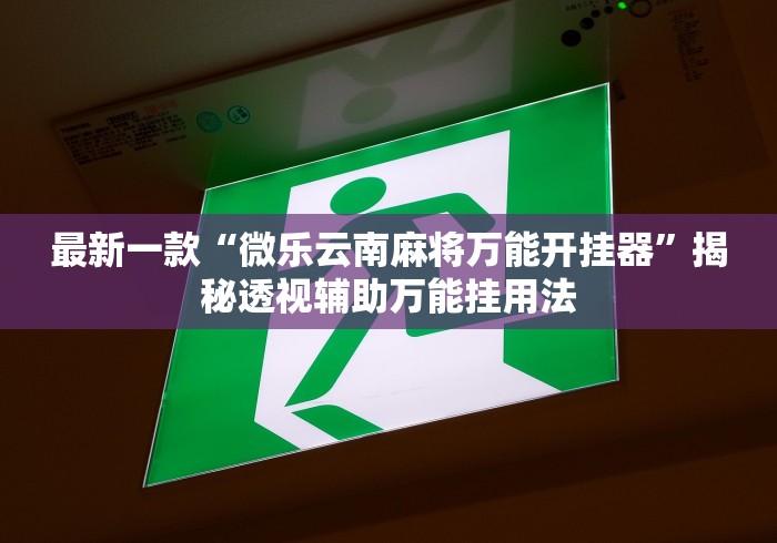 最新一款“微乐云南麻将万能开挂器”揭秘透视辅助万能挂用法