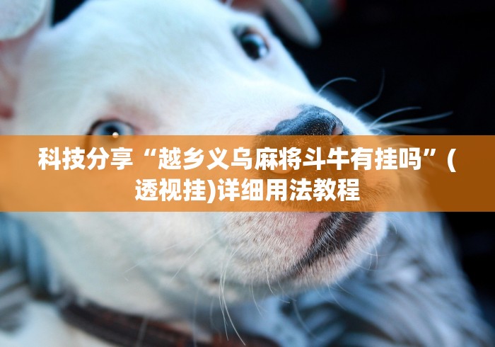 科技分享“越乡义乌麻将斗牛有挂吗”(透视挂)详细用法教程