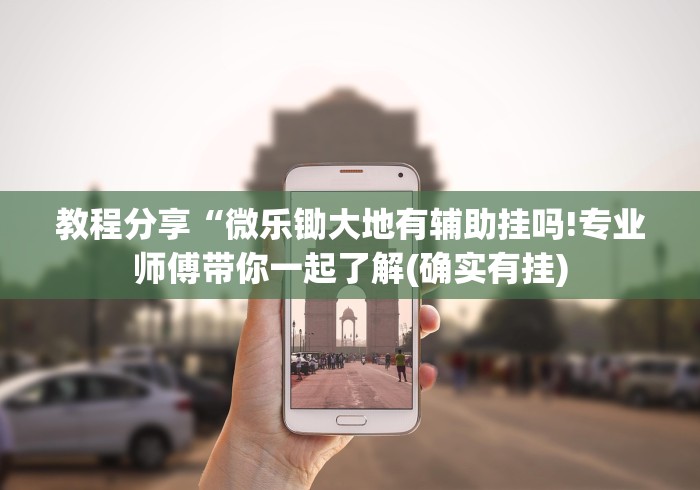 教程分享“微乐锄大地有辅助挂吗!专业师傅带你一起了解(确实有挂)
