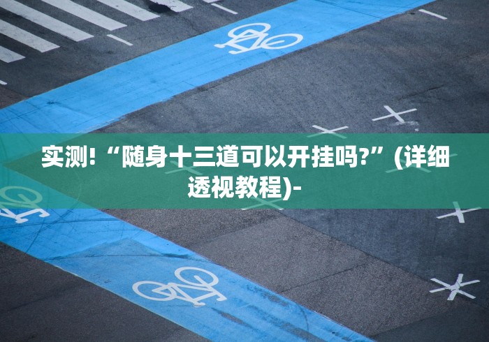 实测!“随身十三道可以开挂吗?”(详细透视教程)-