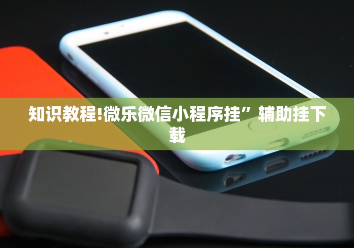 知识教程!微乐微信小程序挂”辅助挂下载
