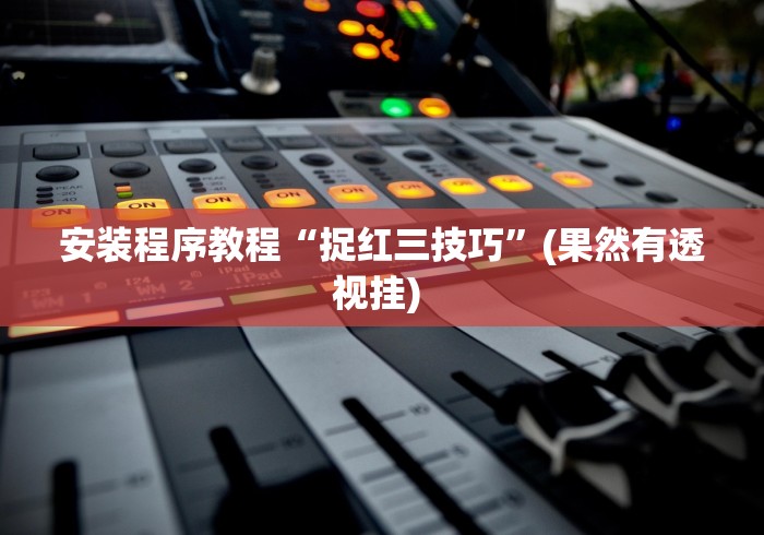 安装程序教程“捉红三技巧	”(果然有透视挂) 