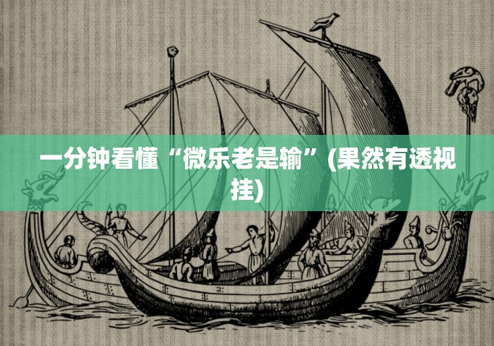 一分钟看懂“微乐老是输”(果然有透视挂)
