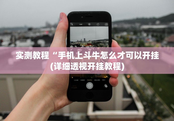实测教程“手机上斗牛怎么才可以开挂(详细透视开挂教程) 实测教程“手机上斗牛怎么才可以开挂(详细透视开挂教程)
