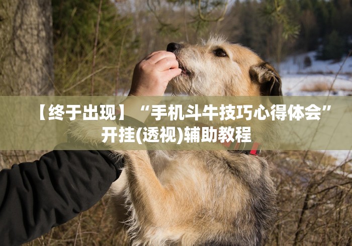 【终于出现】“手机斗牛技巧心得体会”开挂(透视)辅助教程
