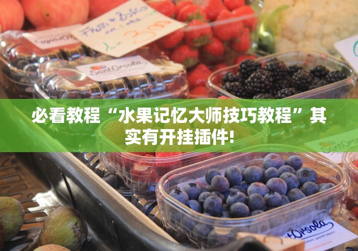 必看教程“水果记忆大师技巧教程	”其实有开挂插件!