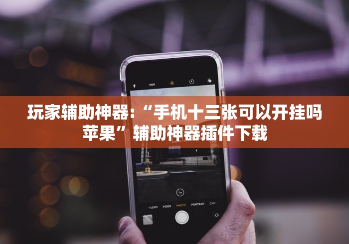 玩家辅助神器:“手机十三张可以开挂吗苹果”辅助神器插件下载